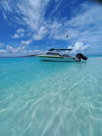 Picture 3 for Activity Mauritius: Snorkeling with turtles Le Transporteur speedboat