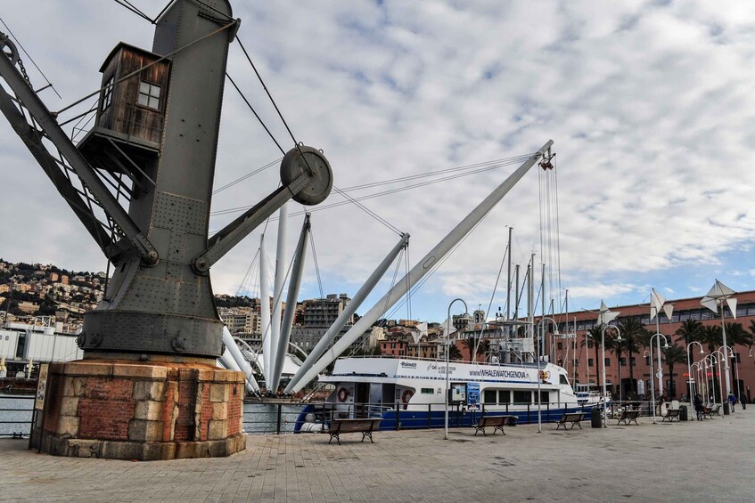 Picture 4 for Activity Genoa: Full-Day Tour to Camogli, San Fruttuoso & Portofino