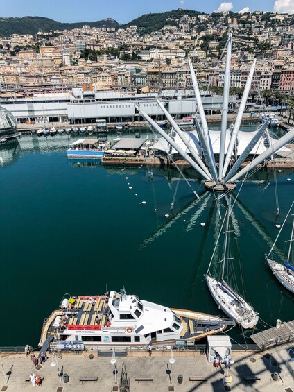 Picture 6 for Activity Genoa: Full-Day Tour to Camogli, San Fruttuoso & Portofino