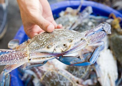 Île Hilton Head : Excursion en bateau de l’expédition Crabbing