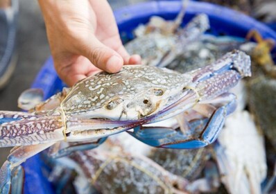 Isla Hilton Head: Excursión en barco para pescar cangrejos