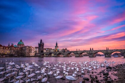 3-hour Walking Photo Tour in Prague