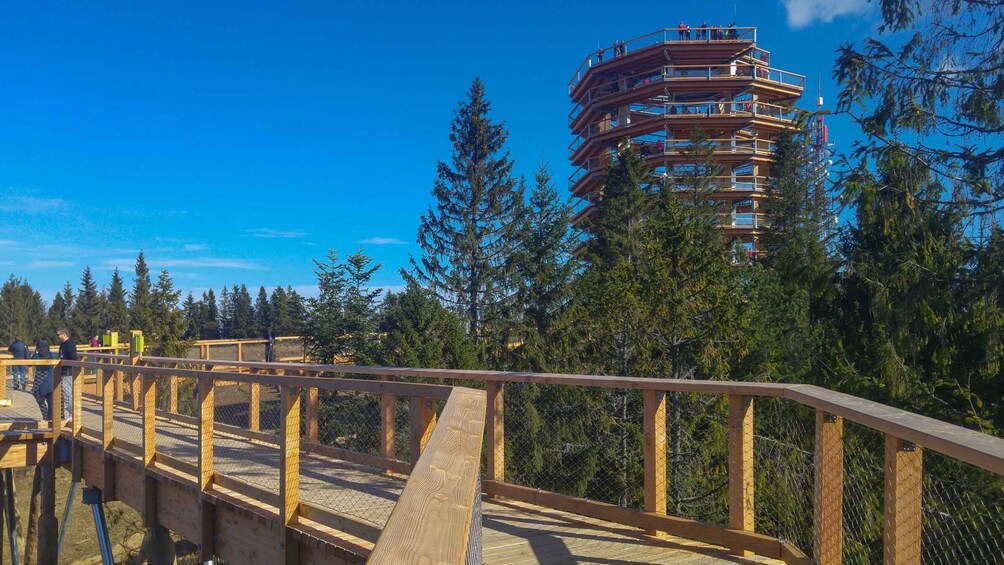 Picture 2 for Activity From Krakow: Slovakia Treetop Walk, Zakopane & Thermal Spa