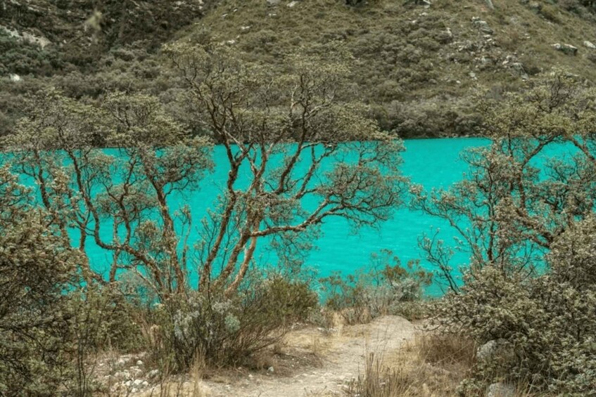 Picture 5 for Activity From Huaraz: Tour to Llanganuco Lakes (Chinancocha Lake)