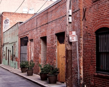 San Francisco: Tour a piedi dell'oro, dell'avidità e dei pistoleri