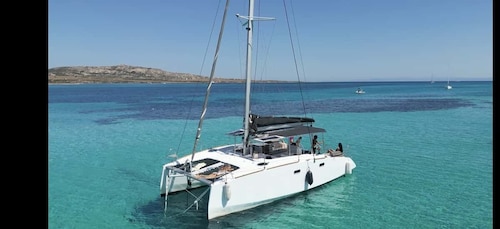 Stintino: full day trip catamaran Asinara Island