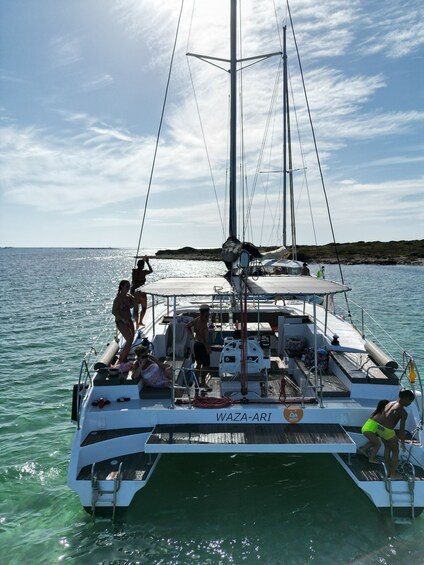 Picture 2 for Activity Stintino: full day trip catamaran Asinara Island