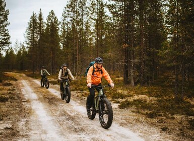 Rovaniemi: ทัวร์จักรยานไฟฟ้าพร้อมไกด์ที่รกร้างว่างเปล่าอาร์กติกและป่าไม้