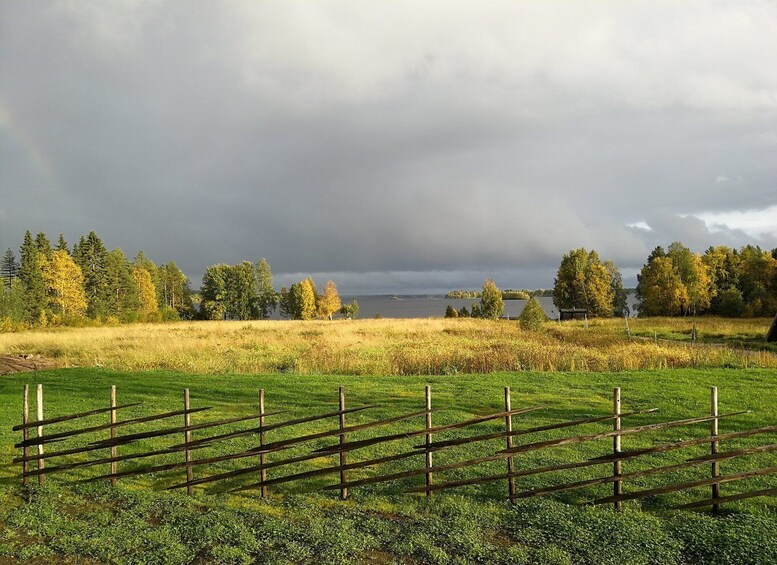 Picture 6 for Activity Rovaniemi: Arctic Wilderness & Forests Guided E-Bike Tour