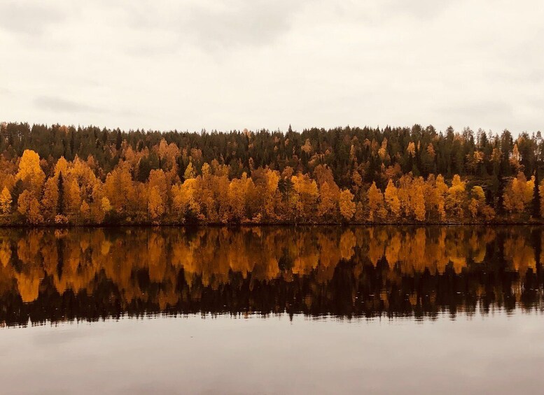 Picture 5 for Activity Rovaniemi: Arctic Wilderness & Forests Guided E-Bike Tour