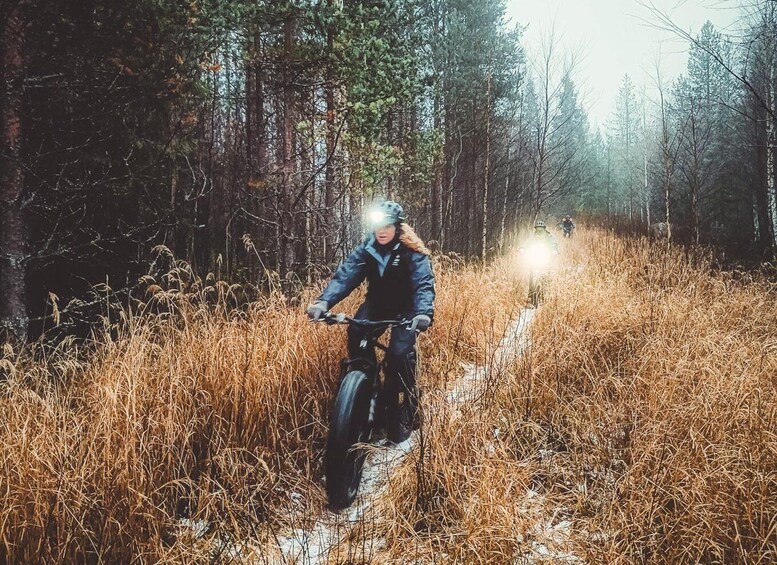 Picture 3 for Activity Rovaniemi: Arctic Wilderness & Forests Guided E-Bike Tour