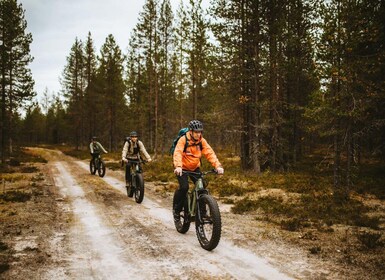 Rovaniemi: Arktinen erämaa ja metsät Opastettu sähköpyöräretki