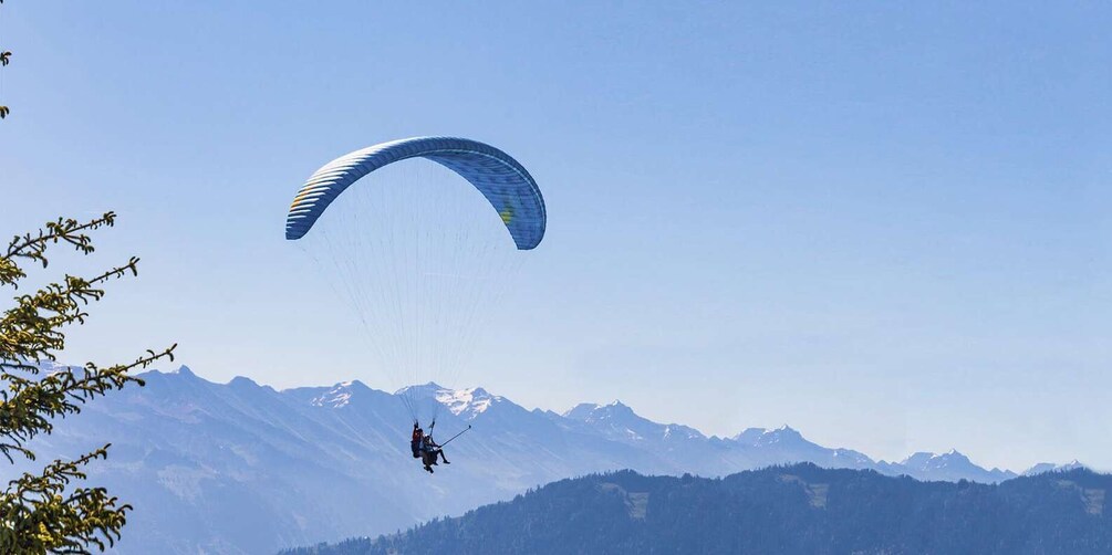 Picture 3 for Activity Mayrhofen: Paragliding Flight Experience Over Mountains