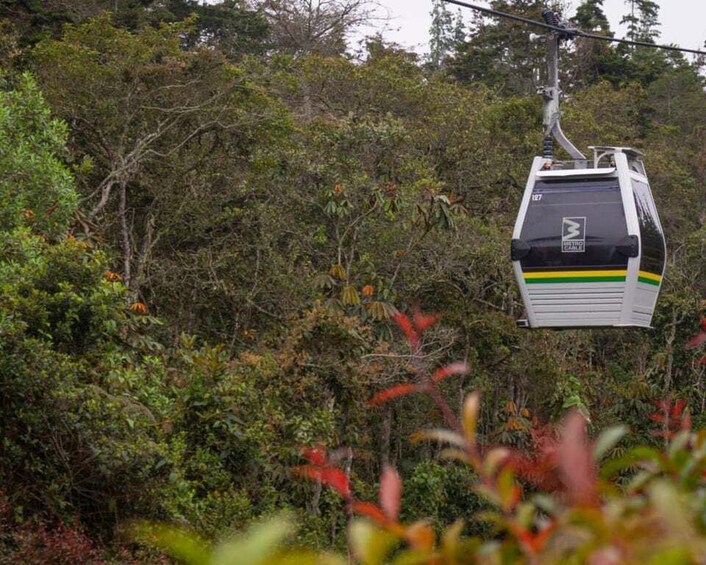 Picture 1 for Activity Medellin: Arvi Park, Cable Car & Waterfalls Tour