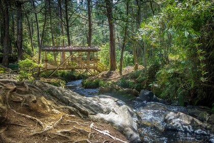 Medellin: Arvi Park, Cable Car & Waterfalls Tour