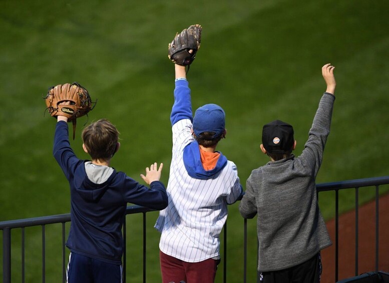 Picture 4 for Activity NYC: Citi Field Insider Guided Ballpark Tour