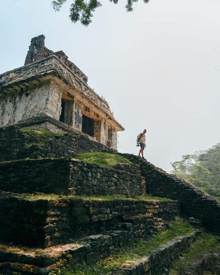 Picture 1 for Activity San Cristobal: Agua Azul, Misol-Ha and Palenque Tour