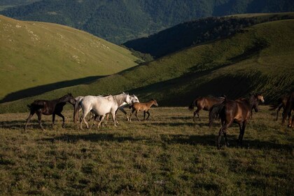 Abenteuertour: Adrenalinrausch in Sevan, Dilijan und Ijevan