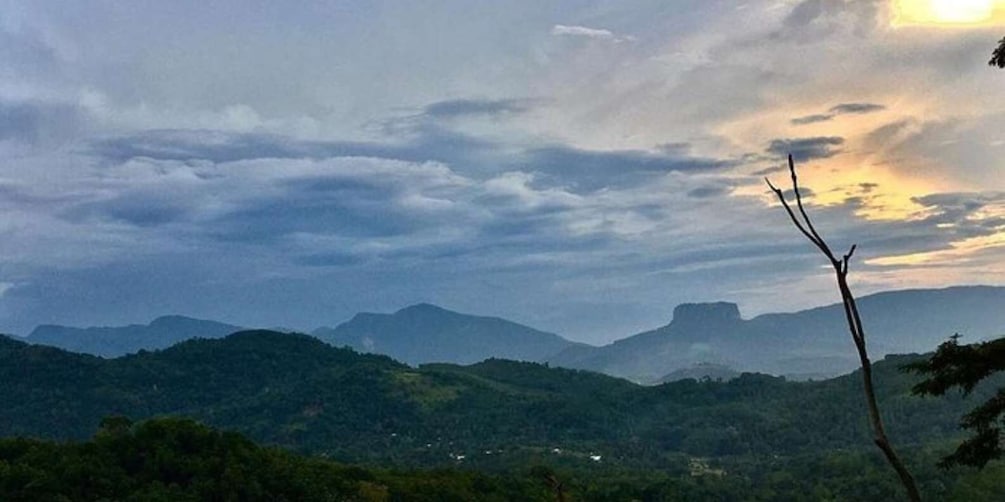 Picture 3 for Activity Kandy: The Last Kingdom Private Day Tour from Colombo Harbor