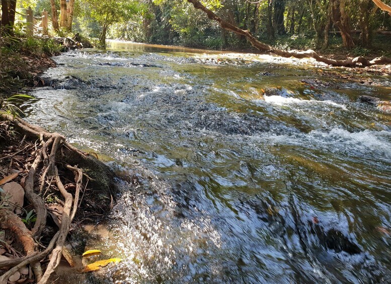 Picture 8 for Activity Kulen Mountain and floating village.