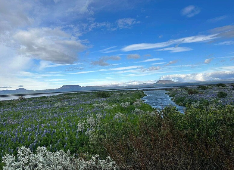 Picture 5 for Activity Iceland atv. atv guided trip close to dettifoss iceland