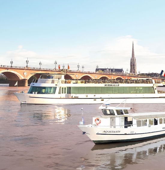 Picture 6 for Activity Bordeaux: Guided River Cruise