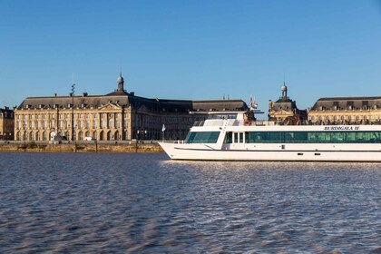 Bordeaux : Visite guidée du fleuve croisière