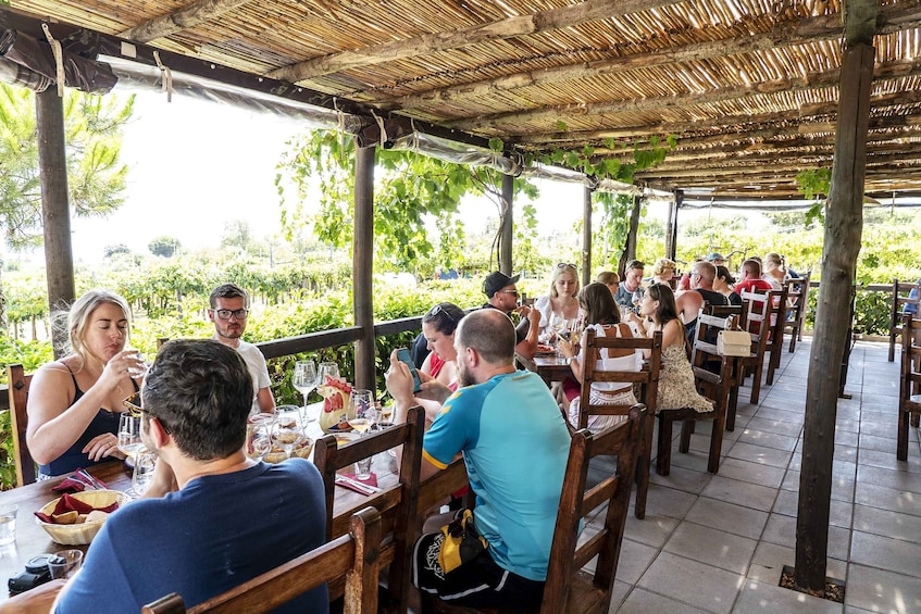 Picture 4 for Activity Mount Vesuvius: Wine Tasting Experience with Lunch Included