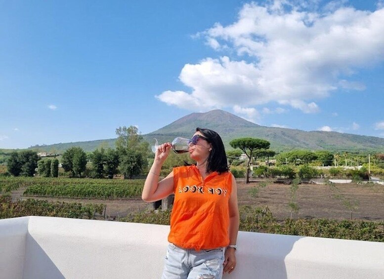 Picture 1 for Activity Mount Vesuvius: Wine Tasting Experience with Lunch Included