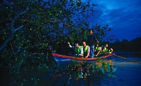 Kuala Lumpur: Batu Caves ja Fireflies päiväretki: Kaupungin nähtävyydet, Ba...