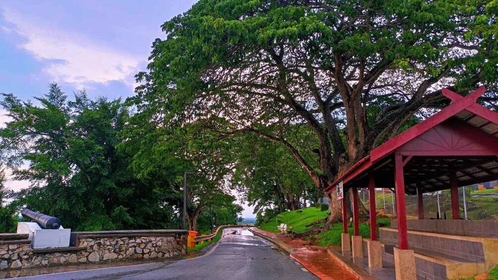 Picture 22 for Activity Kuala Lumpur: City Sights, Batu Caves and Fireflies Day Trip