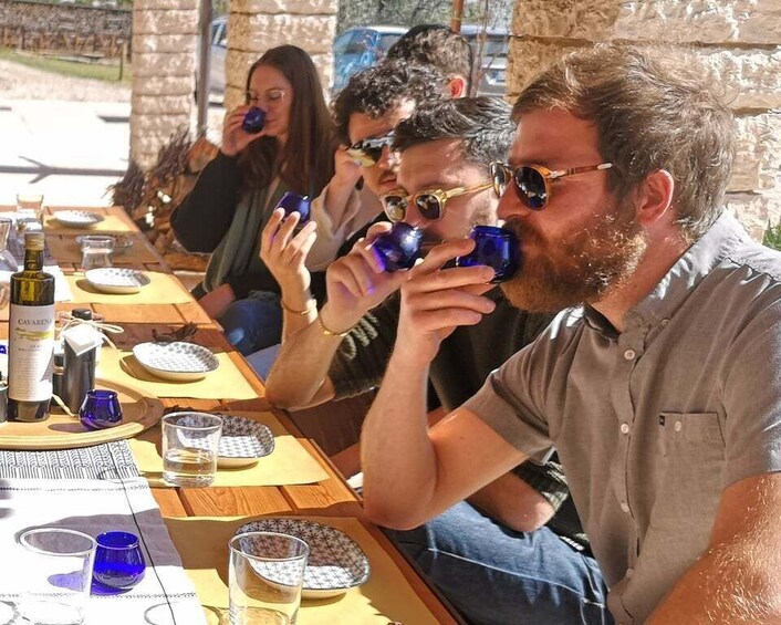 Fumane: Olive oil tasting on the hills of Valpolicella