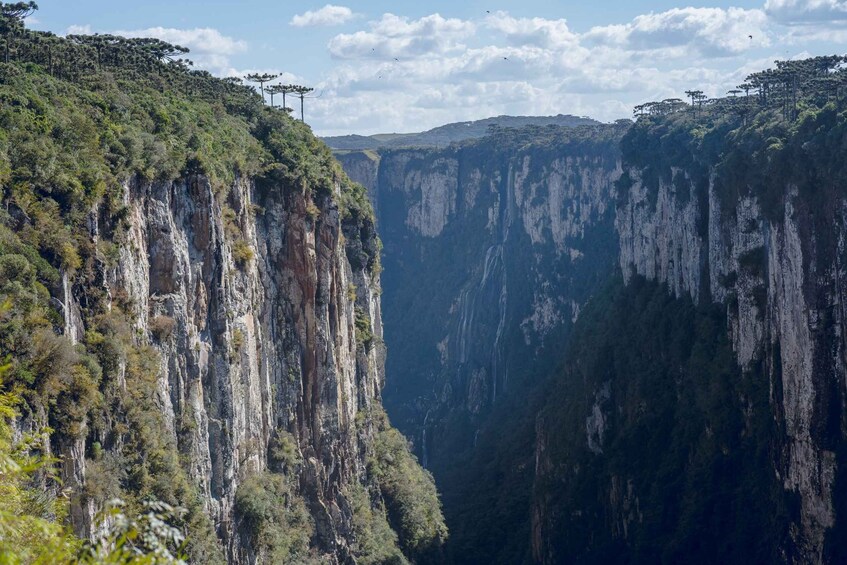 Picture 2 for Activity Visit the canyons in south of Brazil on a 2 days tour