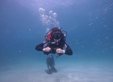 Dubai Padi Open Water Diver Course