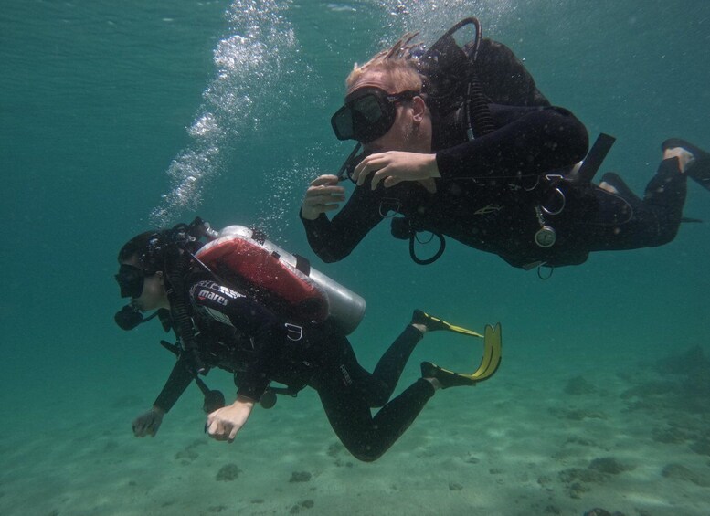 Picture 3 for Activity padi Open Water Diver Course with transfer and lunch