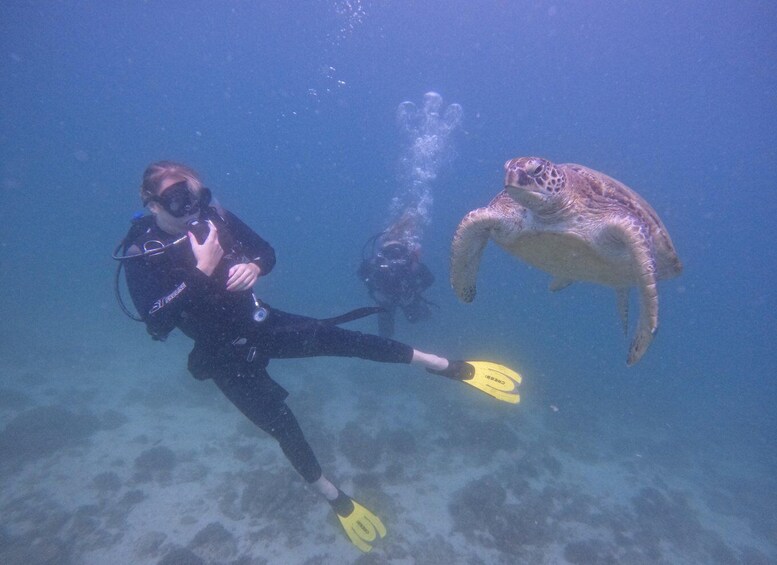 Picture 1 for Activity Dubai Padi Open Water Diver Course