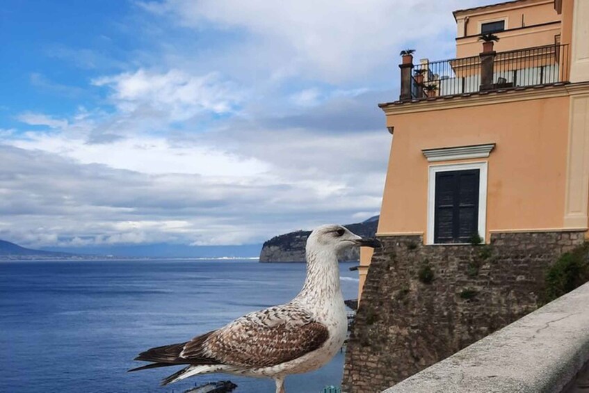 Sorrento: walking in the Grand Tour with stunning landscapes