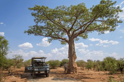 Riista-ajo - Victorian putoukset, Zimbabwe: Sambesin kansallispuisto