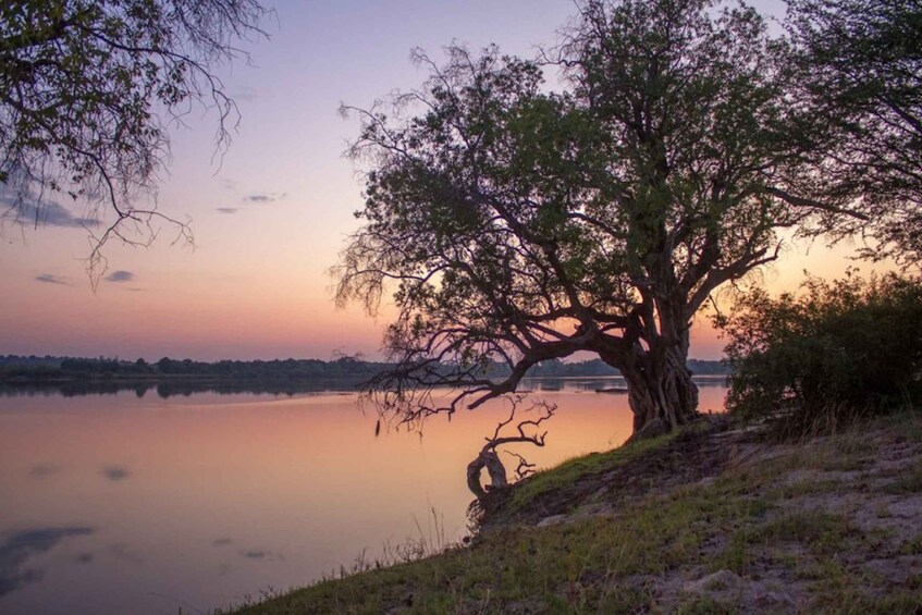 Picture 2 for Activity Game Drive -Victoria Falls, Zimbabwe: Zambezi National Park