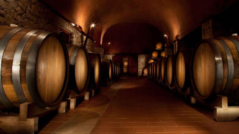 Picture 3 for Activity From Verona: Valpolicella Winery Tour with Tastings