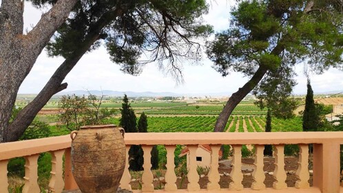 Valencia: Utiel-Requena Cave & Winery Day Trip with Tasting