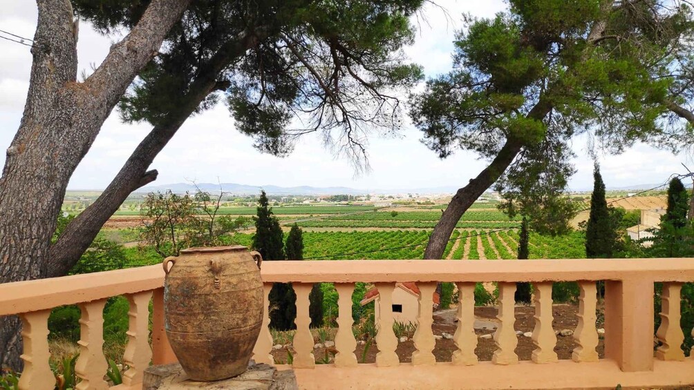 Valencia: Utiel-Requena Cave & Winery Day Trip with Tasting