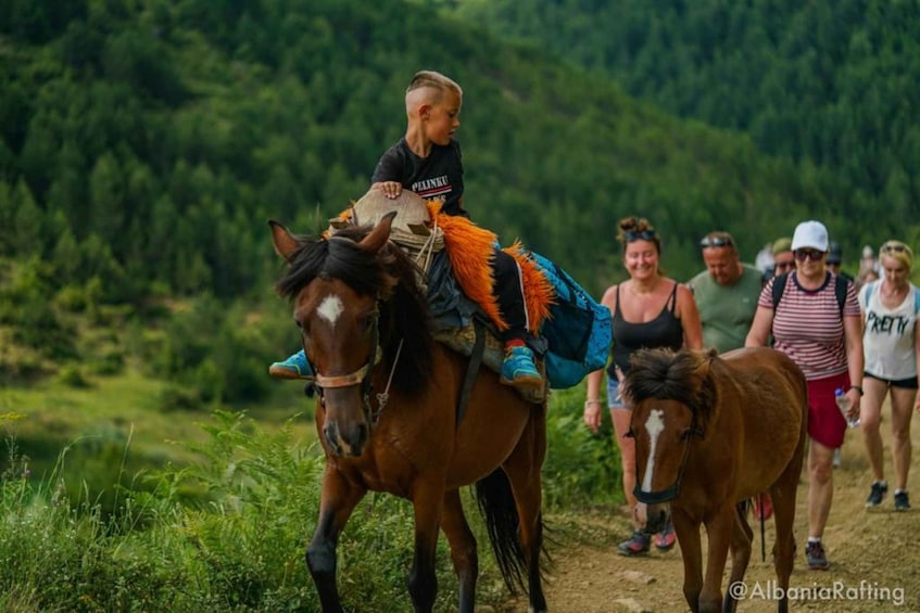 Picture 2 for Activity Albania: Berat Hiking &Off Road with mules,Tomor Holly Mount