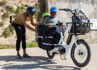 Visit Lille area by electric cargo bike