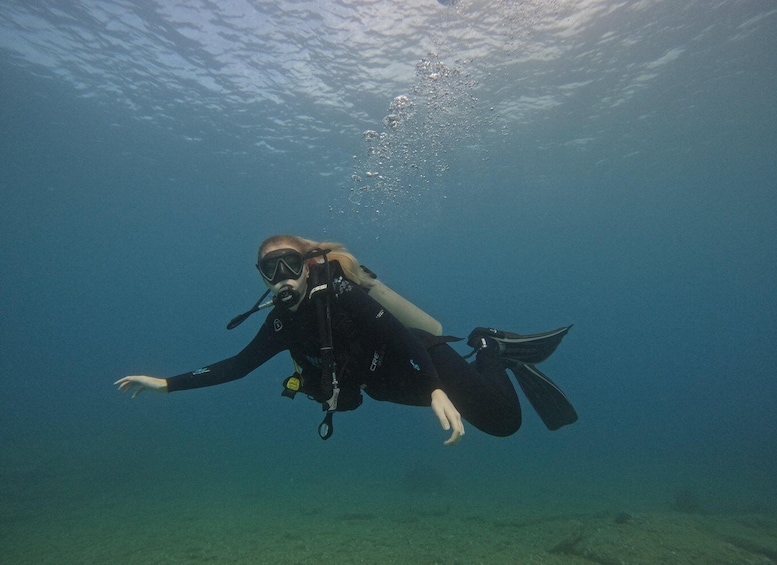 Picture 6 for Activity Heraklion: Scuba Diving trip For Beginners