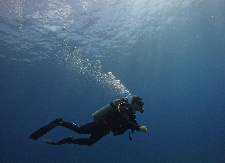 Picture 8 for Activity Heraklion: Scuba Diving trip For Beginners