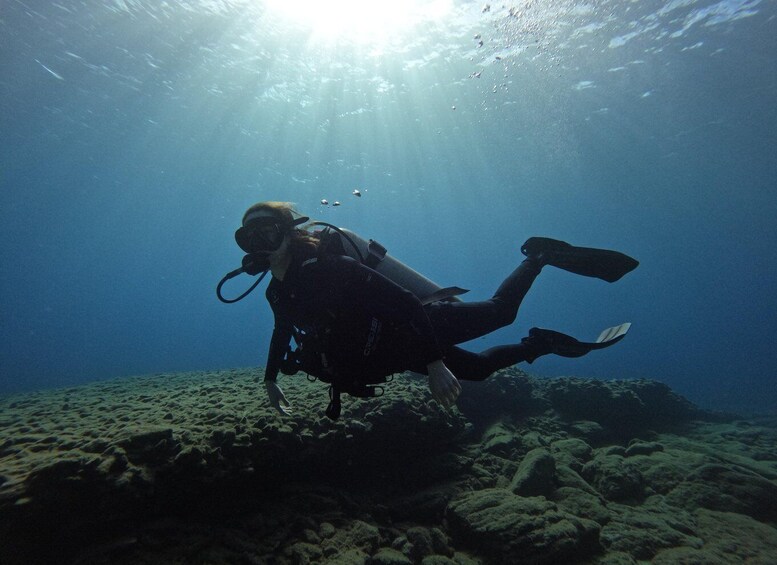 Picture 1 for Activity Heraklion: Scuba Diving trip For Beginners