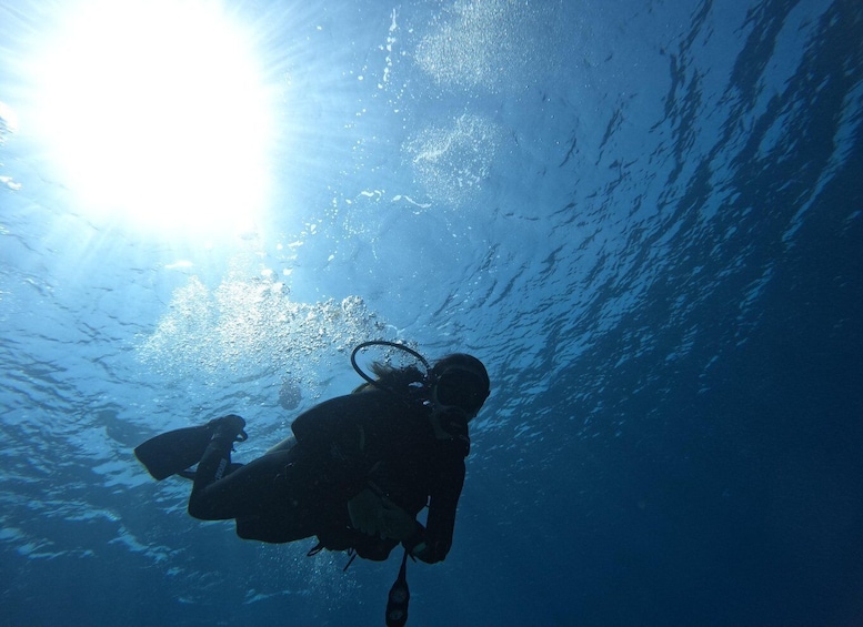 Picture 15 for Activity Heraklion: Scuba Diving trip For Beginners