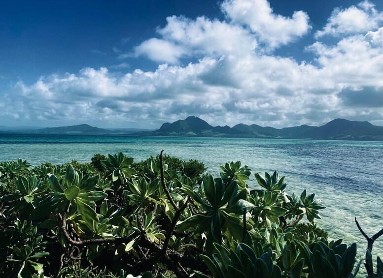 Picture 2 for Activity Day Trip at Ile aux Cerfs and other Gems of the South.