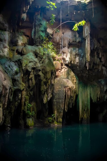 From Mérida: Mayan Santuary, Cenote & Kukulkan Nights Show